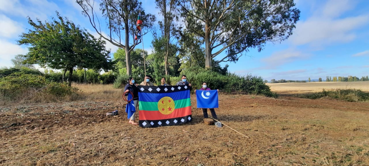 Perquenco: Comunidad mapuche recupera control territorial y productivo de un predio de 40 hectáreas