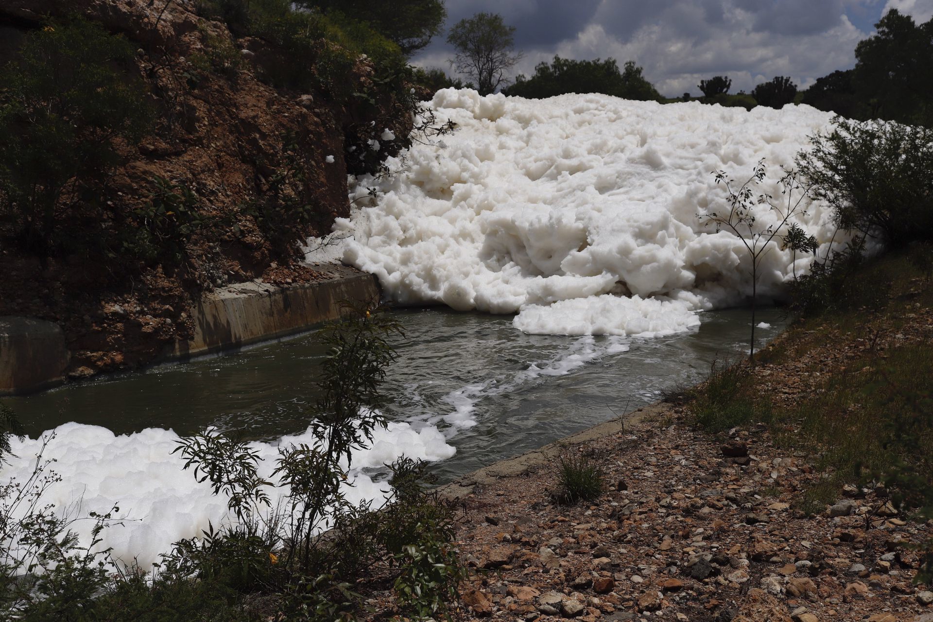 Se vuelve a formar espuma tóxica en presa de Valsequillo