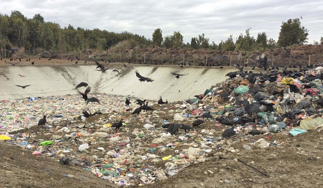 Las irregularidades que causaron la grave crisis de la basura que se vive en Chiloé