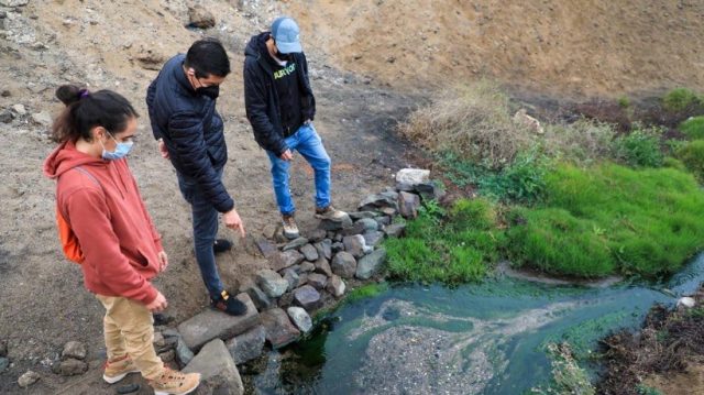 Antofagasta: Inician proceso para declarar como humedal urbano a las vertientes de La Chimba