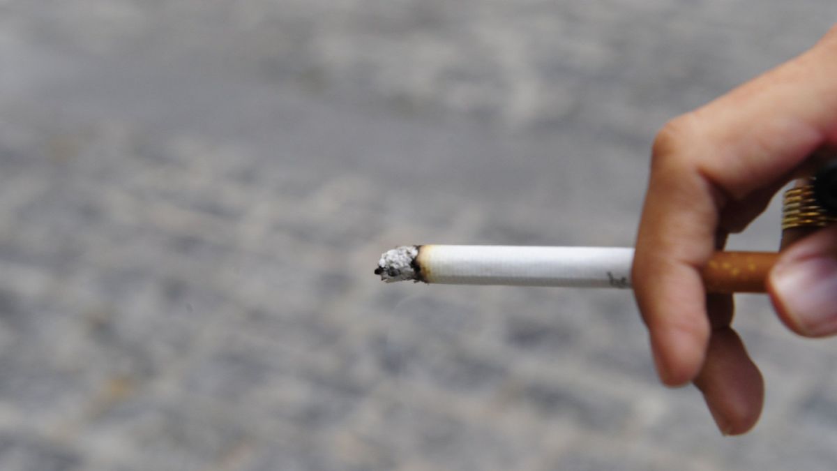 Comisión de Medioambiente aprueba proyecto que sanciona a quienes lancen colillas de cigarro en lugares públicos