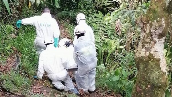 Violencia en Colombia: hallan cuatro cuerpos en el departamento del Meta
