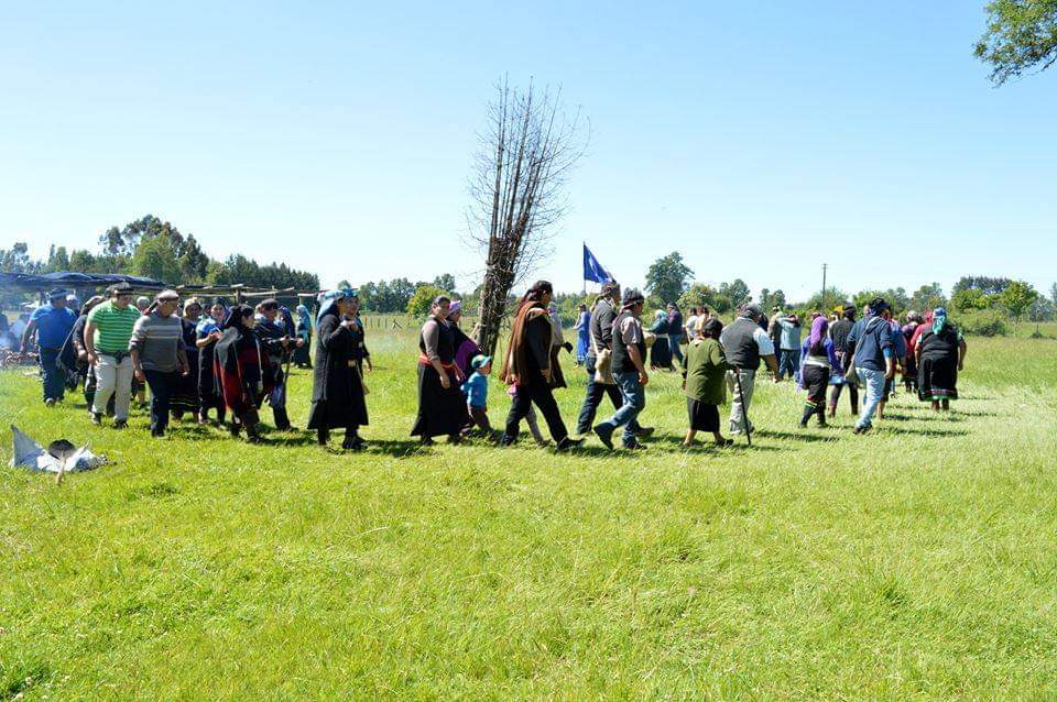 INDH presentó «amicus curiae» para proteger espacio ceremonial de comunidades Mapuche-Williche en Río Pilmaiquén