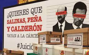 Votar en la consulta popular es obligatorio y necesario