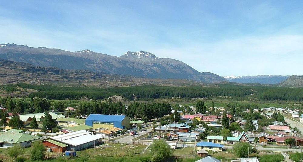 Millones de nuevos pinos en Aysén: ¿Y la política de suelo dónde está?