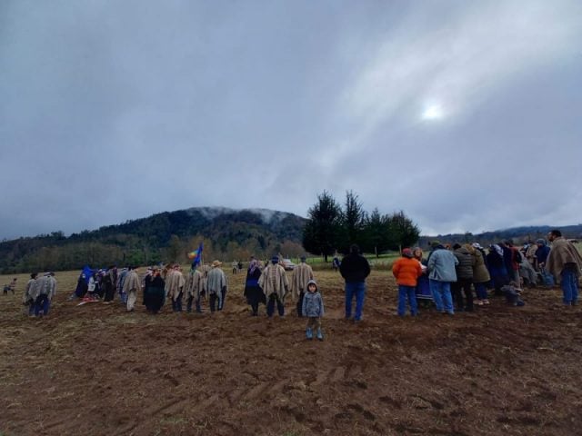 Comunidad mapuche Lof Niguen tras retiro de proyectos fotovoltaicos de su territorio: Es un logro nuestro y de todos los lof mapu que se movilizan