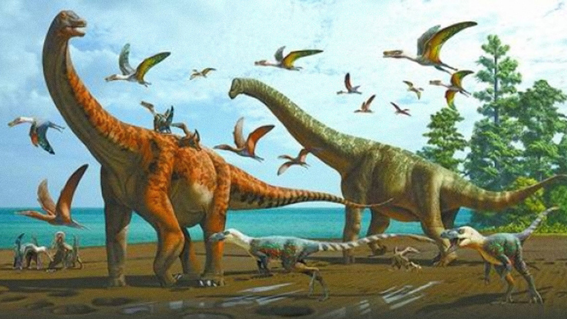 Descubren dos nuevas especies de dinosaurio en China Ciencia y Tecnologí­a