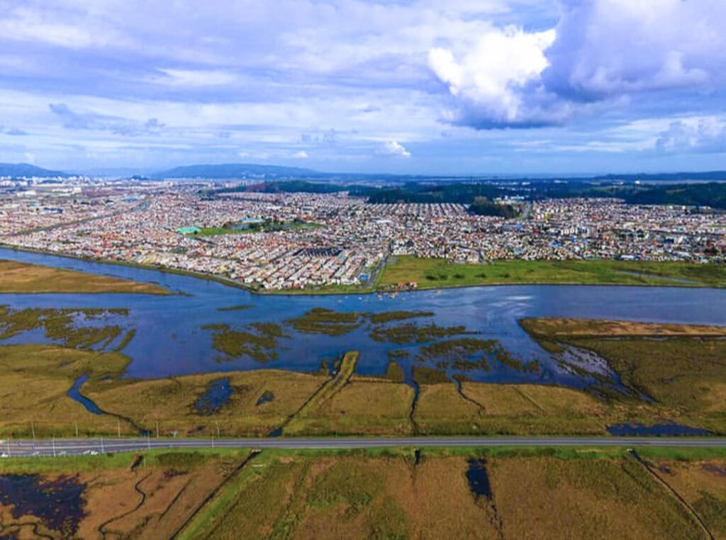 Talcahuano: Municipio pide declaratoria de humedal urbano para el Rocuant-Andalién