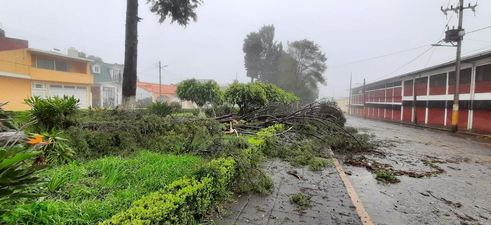 Remanentes de huracán Grace dejan en Puebla  inundaciones, cortes de luz y caída de árboles