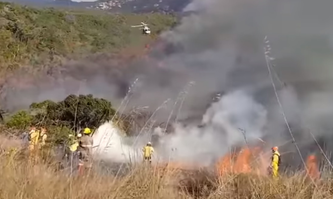 Incendio consume más de la mitad de reserva forestal del parque Juquery de Brasil