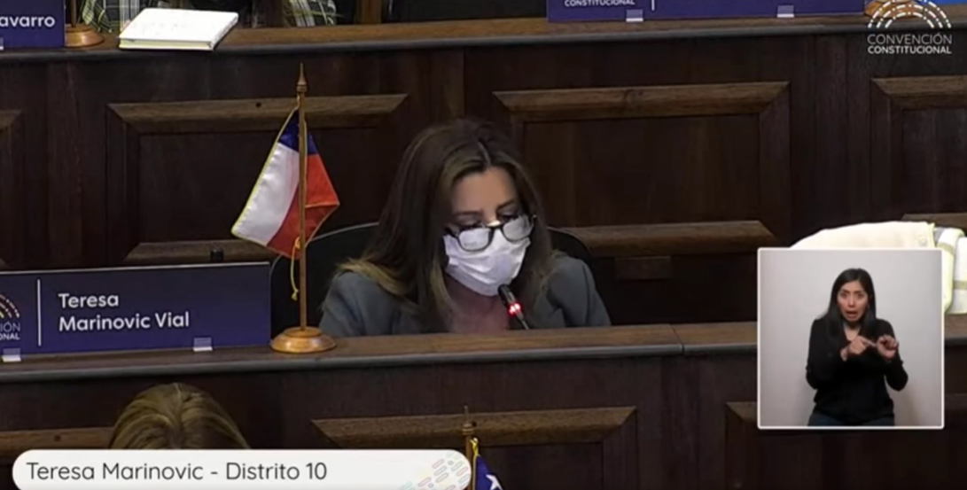 Teresa Marinovic protagoniza nuevo bochornoso episodio en la CC: Insulta a constituyente César Valenzuela en plena sesión