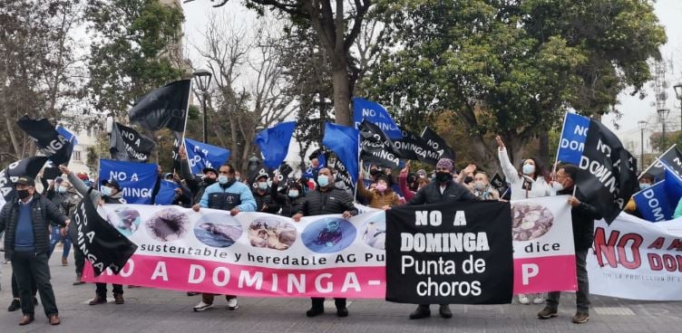 Senadores y organizaciones medioambientales presentarán recurso de protección contra proyecto minero Dominga