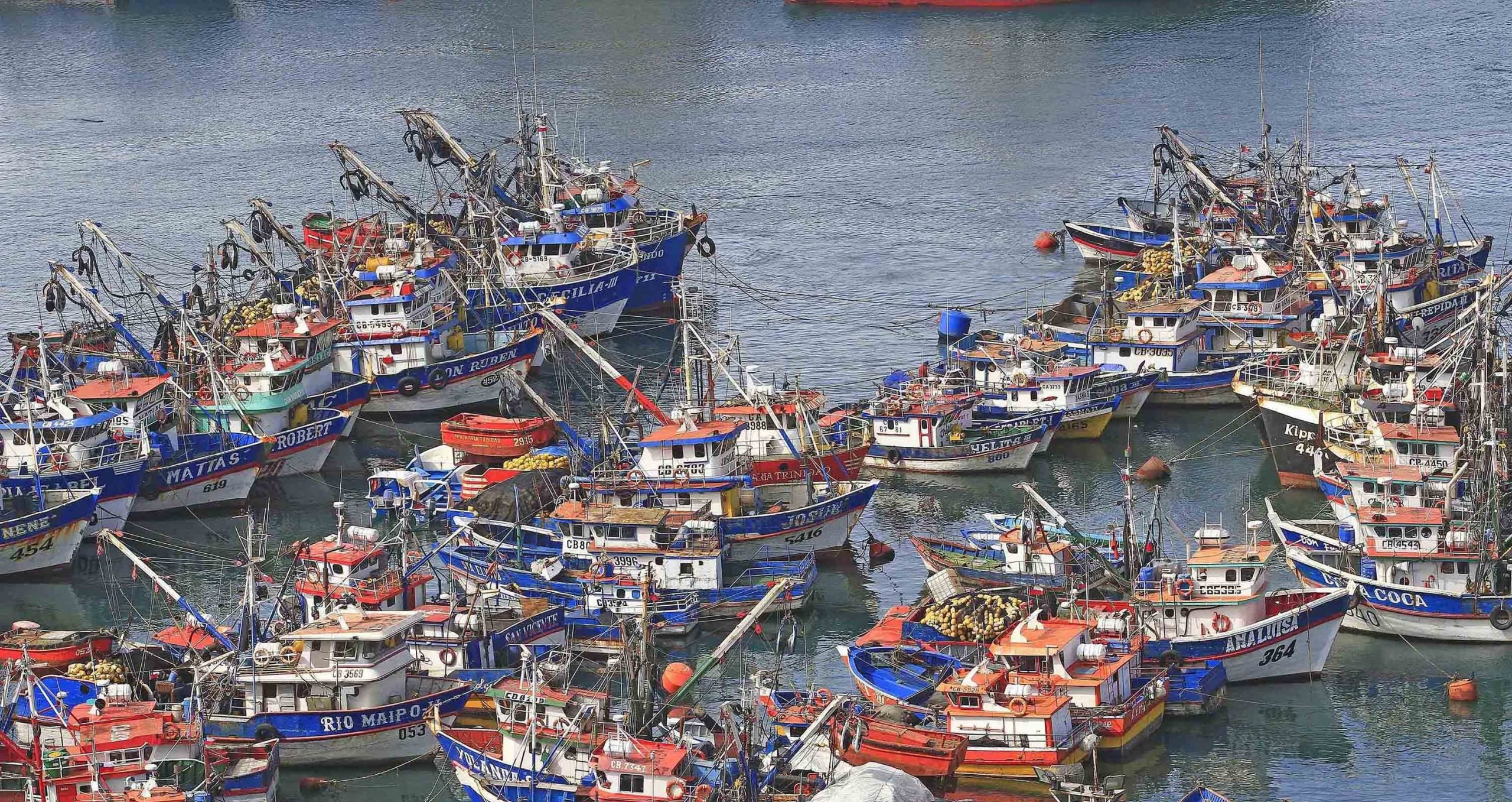Cámara de Diputadas y Diputados aprobó proyecto que permite incluir a los pescadores artesanales en Ley del “Bono Alivio”