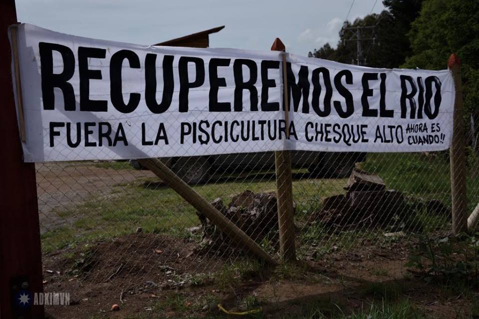 Logro de comunidades mapuche: Tribunal Ambiental anula RCA de proyecto  piscicultura salmonera en Chesque Alto