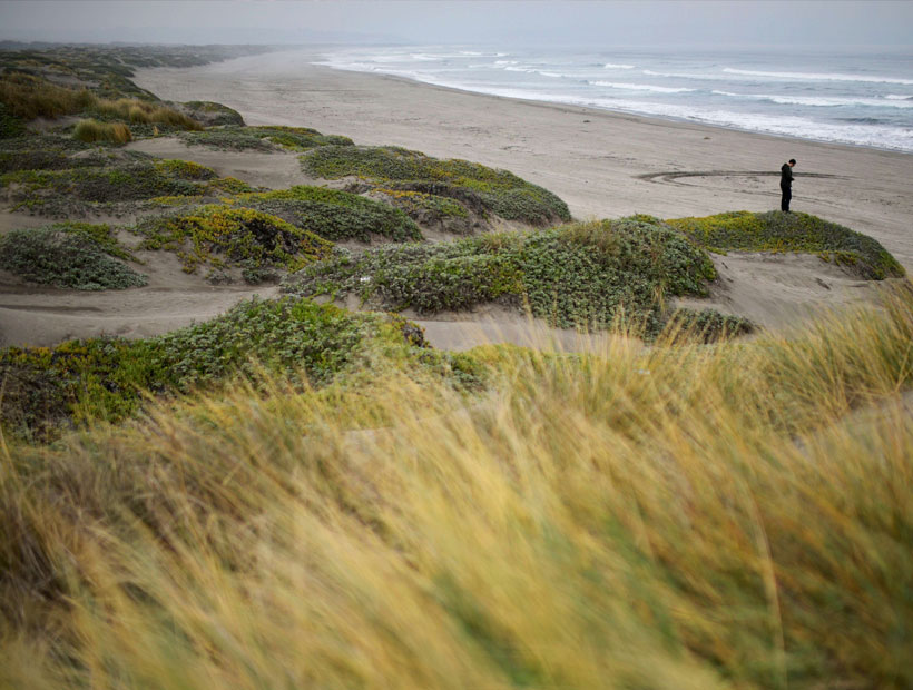 Insólito: Agencia de «ecoturismo» ofrece clases de conducción 4×4 en las dunas de Ritoque