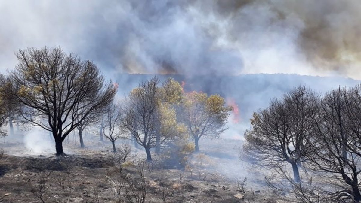 Se eleva a seis la cifra de muertos por incendios en costa mediterránea de Turquía