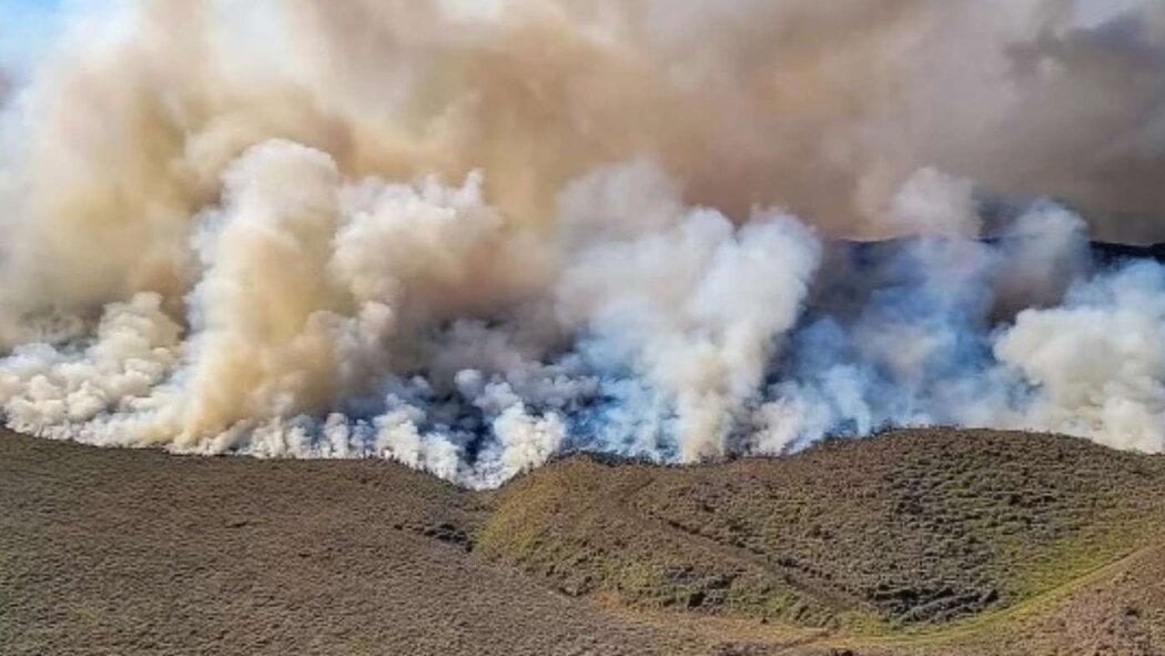 Un incendio forestal causa estragos en la Isla Grande de Hawái y provoca evacuación