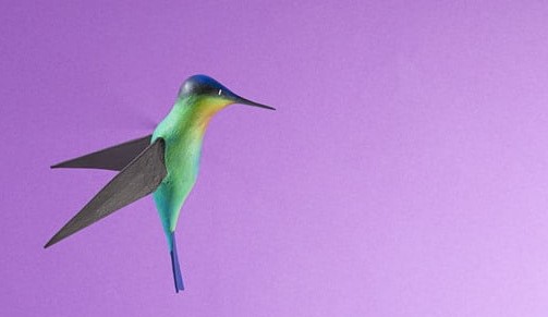 Exhiben ‘Mundo Colibrí, un regalo de las Américas’, de Davit Nava