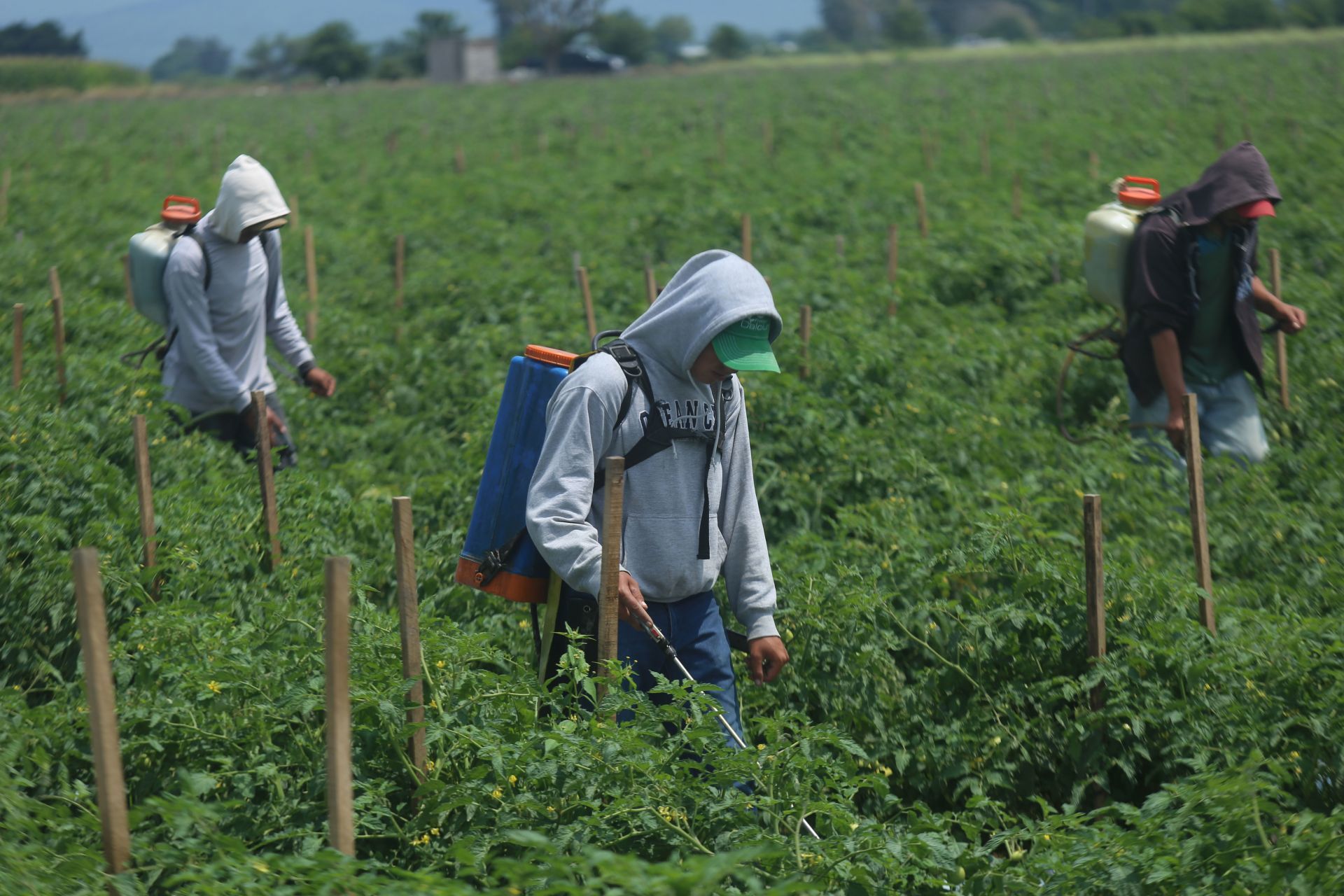 Migrantes sacan de la pobreza a 26 mil poblanos