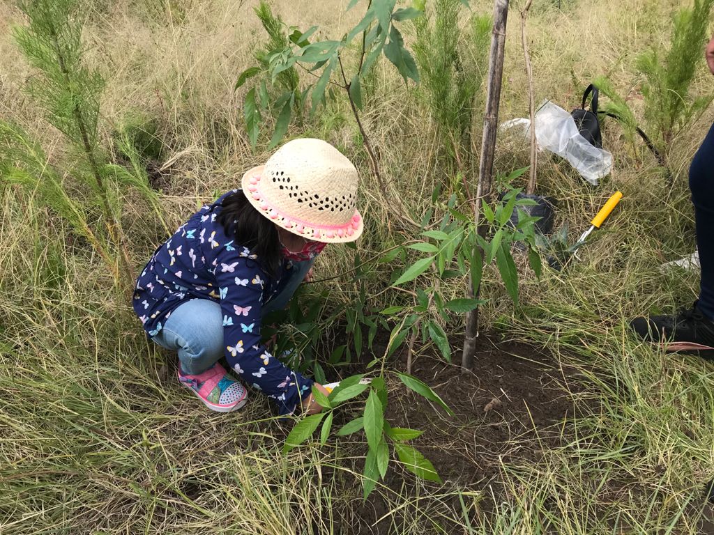 Ayuntamiento de Puebla y «Conserva México» siembran 200 árboles