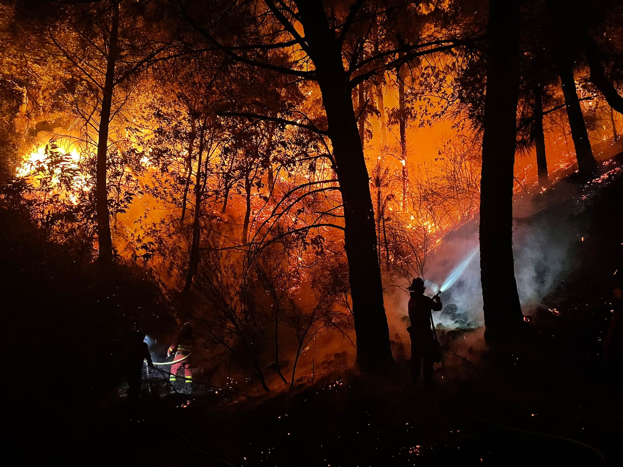 Mayor peligro y virulencia: incendios de sexta generación