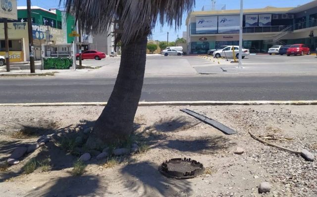 Intervendrá gobierno municipal camellones en bulevares y avenidas