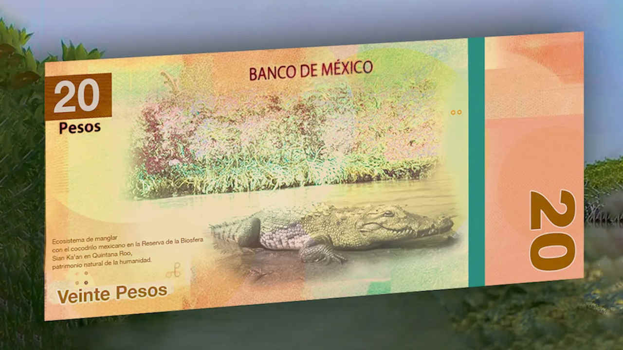 Ya está en circulación nuevo billete conmemorativo de 20 pesos