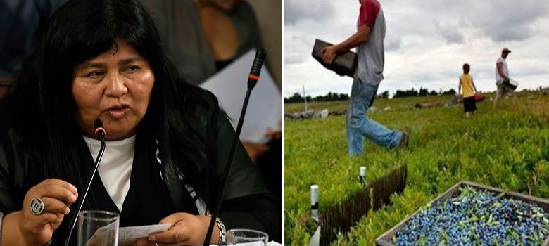 Diputada Nuyado anuncia que Comisión de DD.HH. realizará sesión sobre trabajos forzados de inmigrantes: «El Gobierno insiste en ignorar una situación que se está multiplicando en Chile»