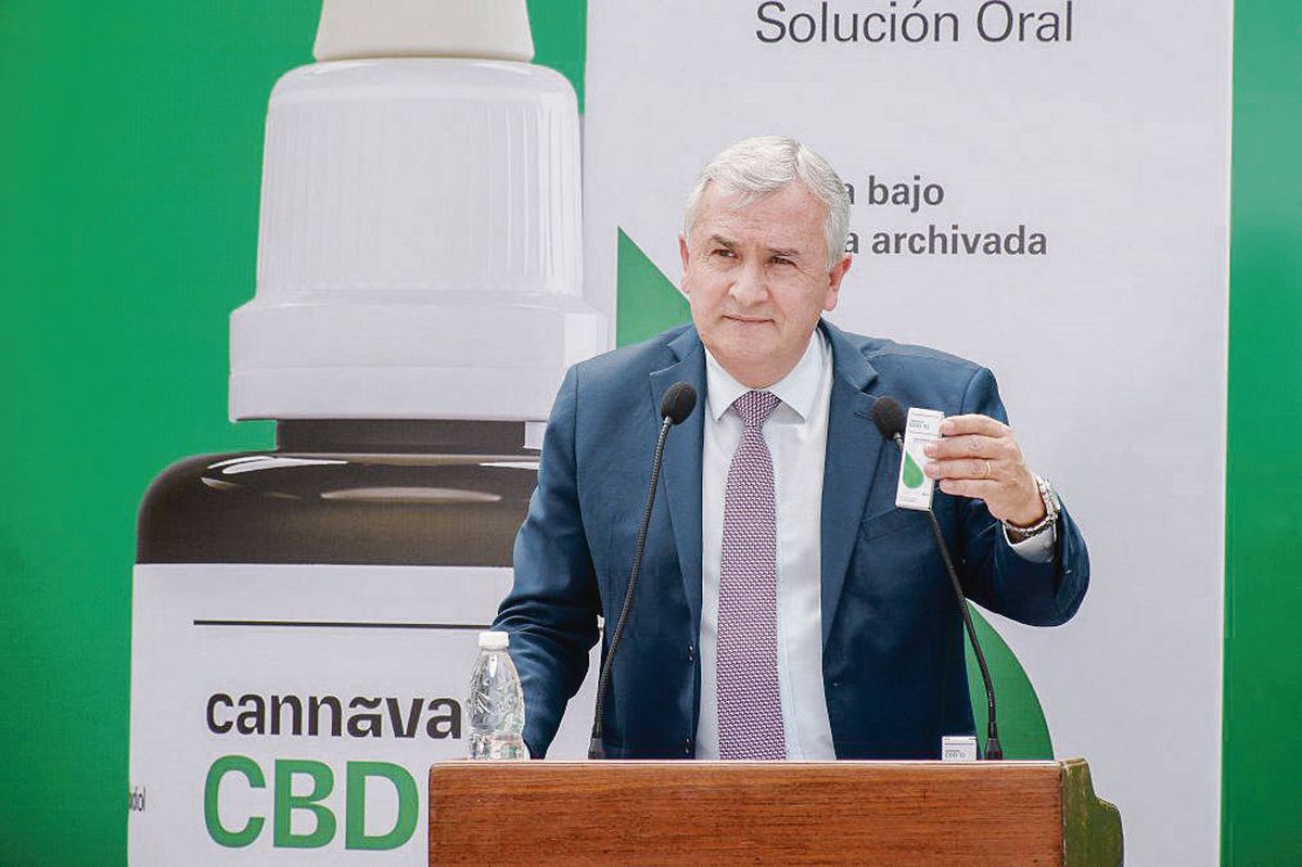 En Argentina comienzan terapia con aceite de cannabis medicinal