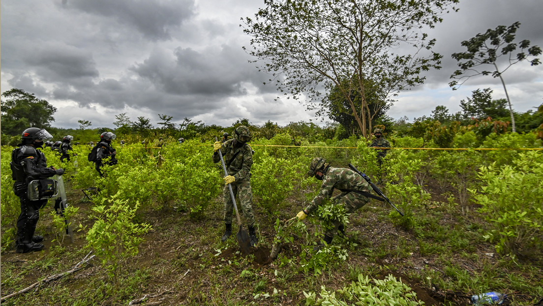 Colombia: Los temas pendientes con «la nueva estrategia antidrogas» de EE.UU.