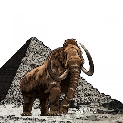 Mamut