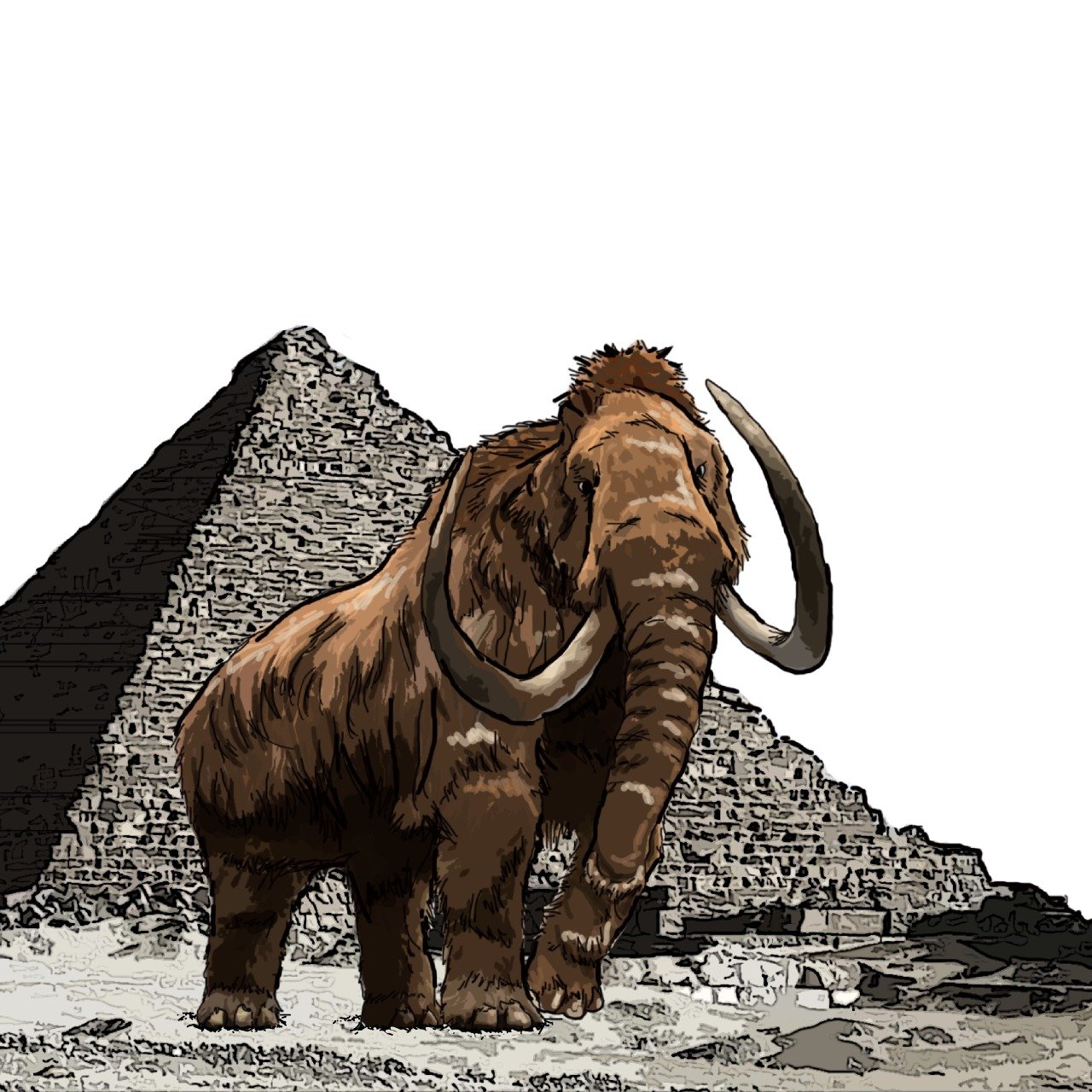 Los humanos no provocaron la extinción de los mamuts: fue el cambio climático