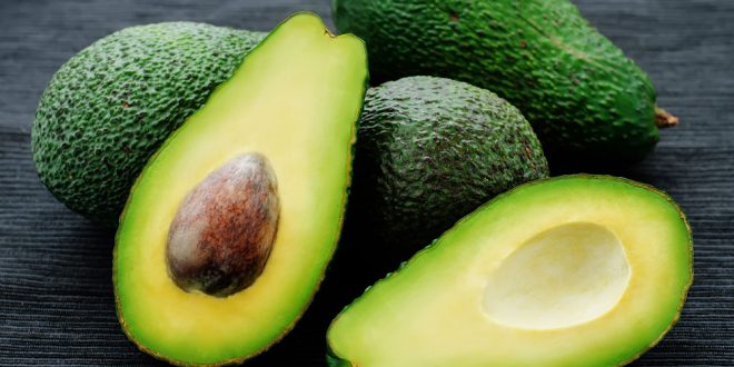 ¡Valieron los diez años de espera! Jalisco inicia exportación de aguacates a EU