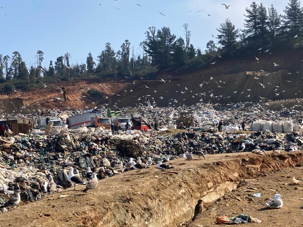 Relleno Sanitario El Molle, un desastre ambiental sin control en Valparaíso