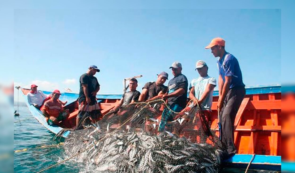 Estudio revela cómo el cambio climático pone en riesgo la pesca artesanal e industrial de Chile y Perú