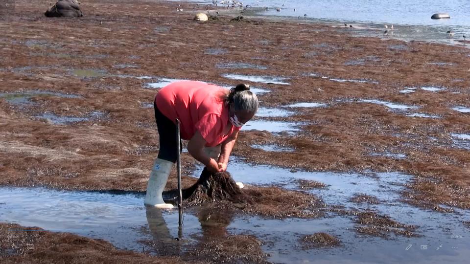 “QUINCHAO EN BRAZOS DE MUJER”, un documental que realza el trabajo de la mujer chilota