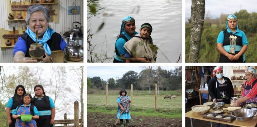 Serie microdocumentales resalta el valor cultural mapuche williche en Pilmaikén