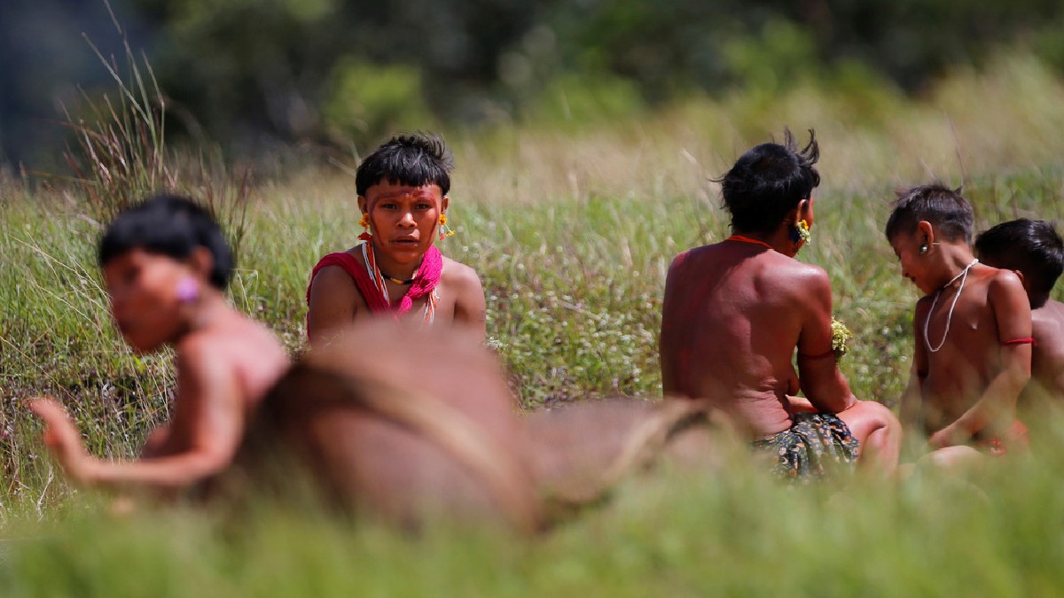 Brasil: Juez da plazo de cinco días al Gobierno para pronunciarse en torno al estado de desnutrición de niños y niñas yanomamis