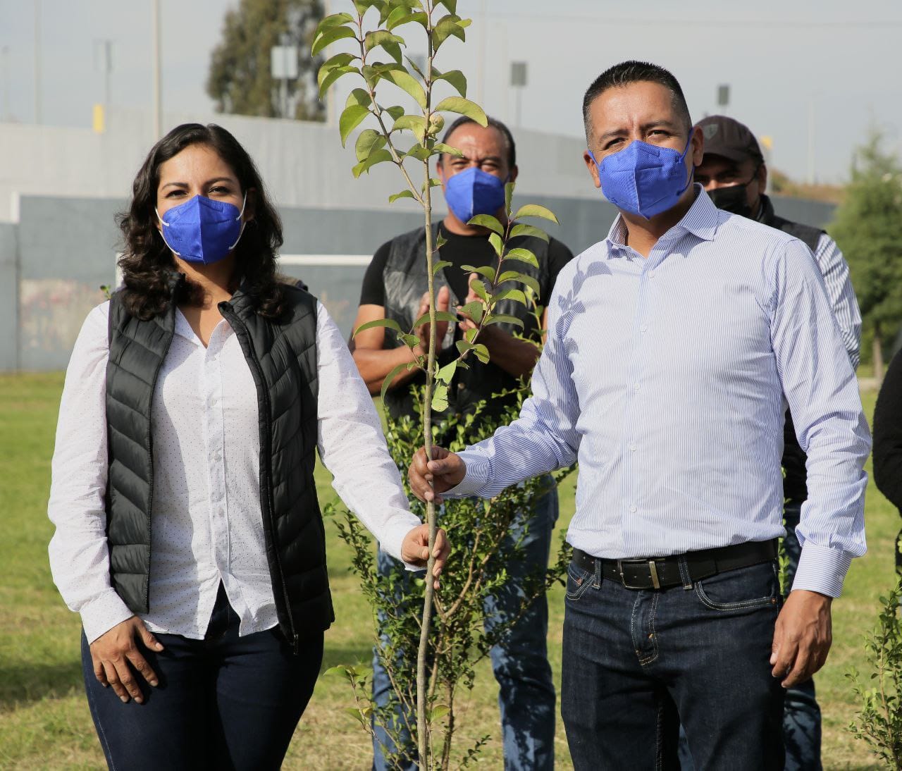 Ayuntamiento de San Andrés inicia jornada de reforestación