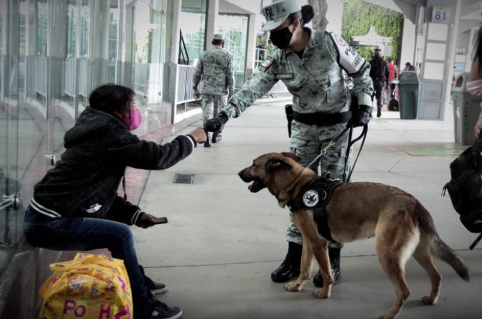 Busca Guardia Nacional con perros a víctimas en zona de explosión