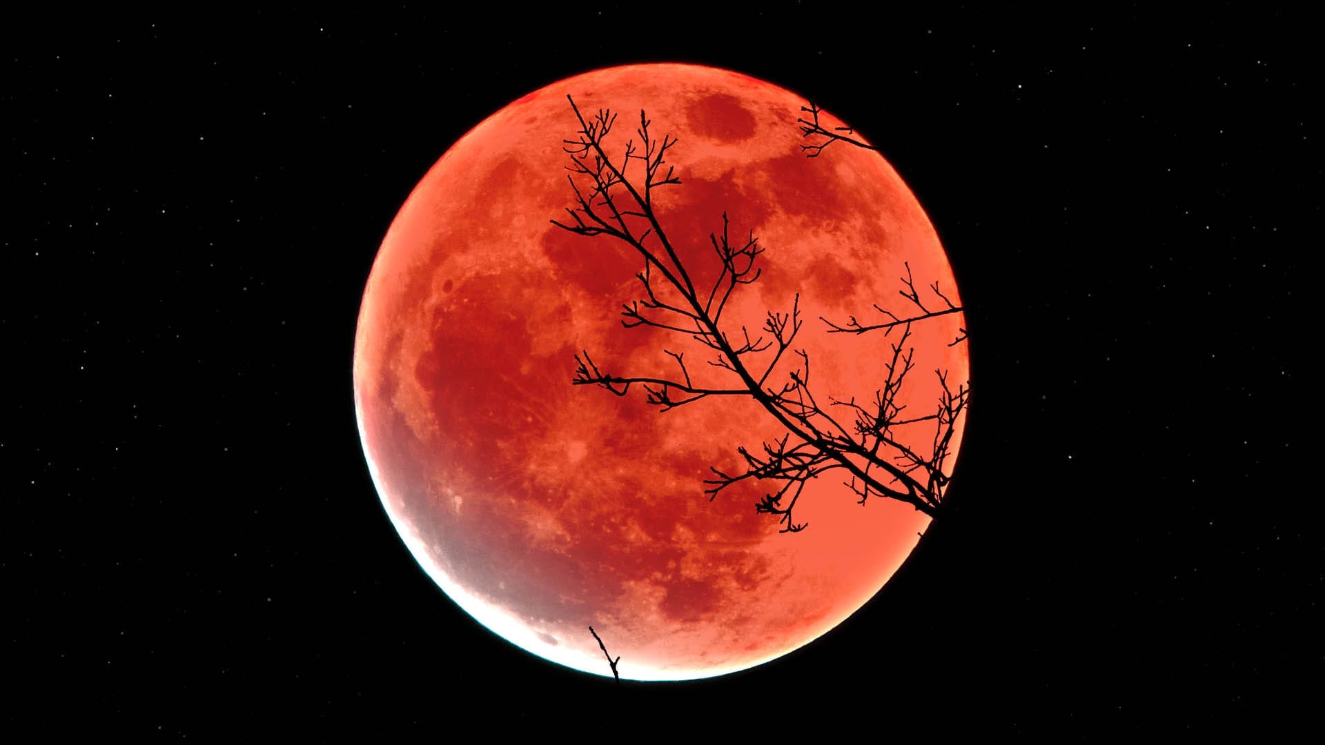 Eclipse lunar de noviembre será el más largo del siglo