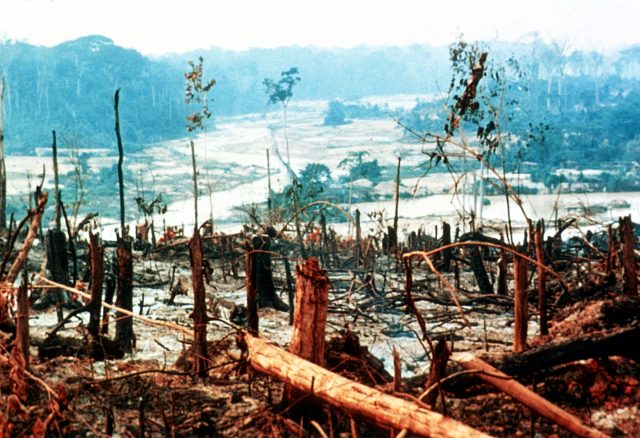 Deforestación