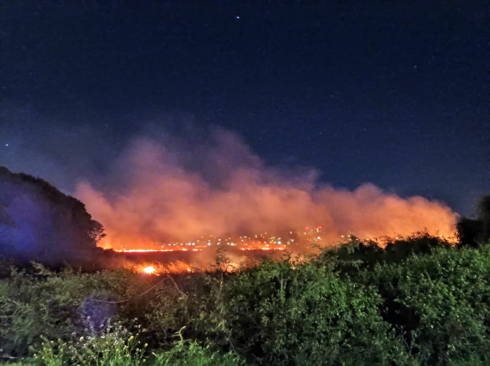 Concepción: Municipio presentará querella por incendio que arrasó 3,5 hectáreas del Humedal Paicaví