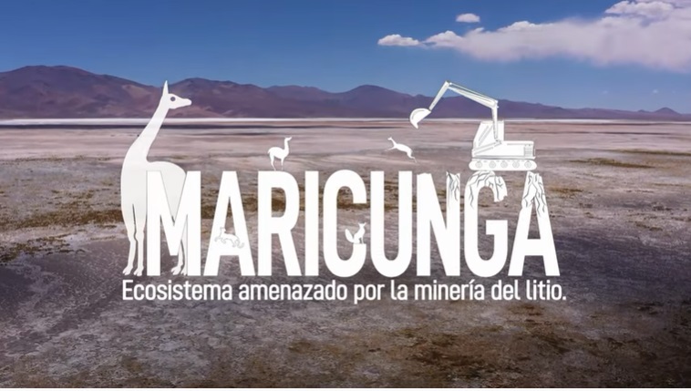 Maricunga: Ecosistema amenazado por la minería del litio en Atacama