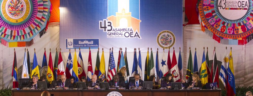 Sociedad civil de las Américas hace sus demandas de DDHH en la OEA