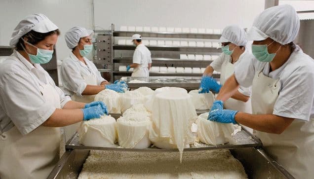 Lácteos Los Andes aumenta la producción de queso pasteurizado