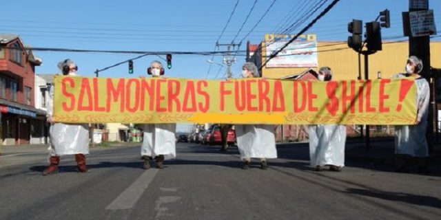 Con fondos públicos gobierno financia expansión de la industria salmonera y daño ambiental en la Patagonia austral