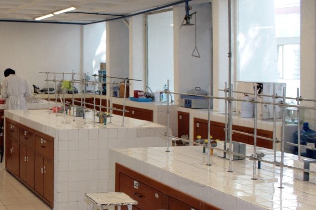 Investigadores de la BUAP enriquecen yogurt con fibra y antioxidantes