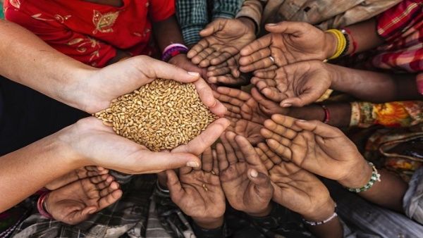 FAO advierte sobre el aumento del hambre en la región árabe en 2020