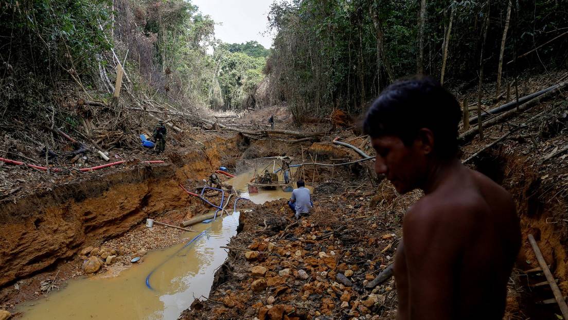 Autorizan en Brasil siete proyectos de exploración de oro en una región de la Amazonía ¿En riesgo el parque nacional del Pico de la Neblina?